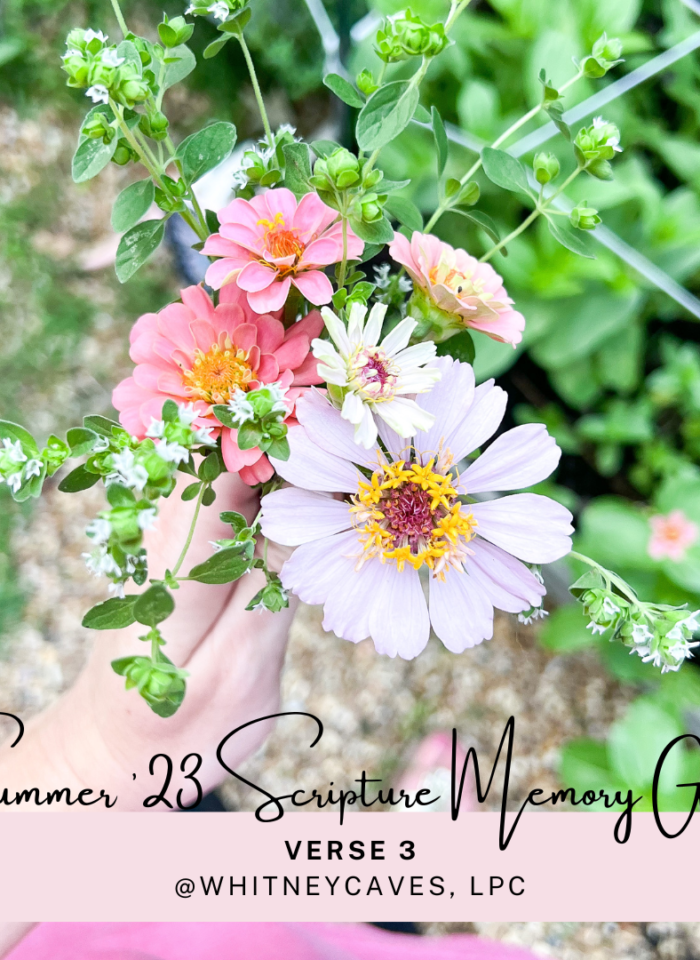 Summer Scripture Memory Group–Verse 3